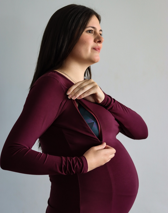 Maternity Top - Bamboo Long Sleeve Fig